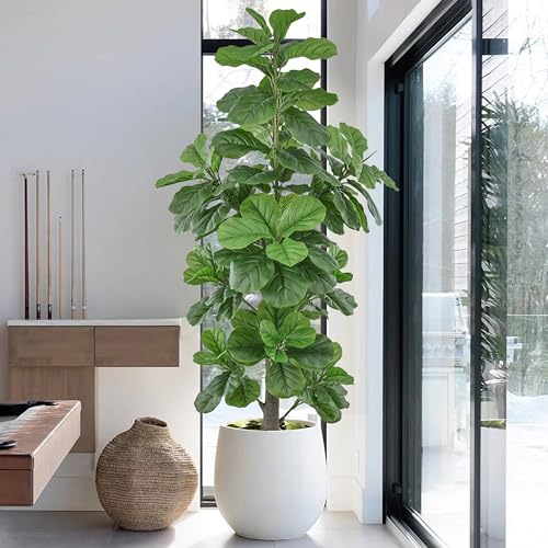 Roselywed Artificial Fiddle Leaf Fig Tree 6FT with Realistic 148 Leaves 71 Inch Fake Ficus Lyrata Potted Plant for Indoor Outdoor Garden Landscaping Decor Housewarming Gift (6FT, 1Pack)
