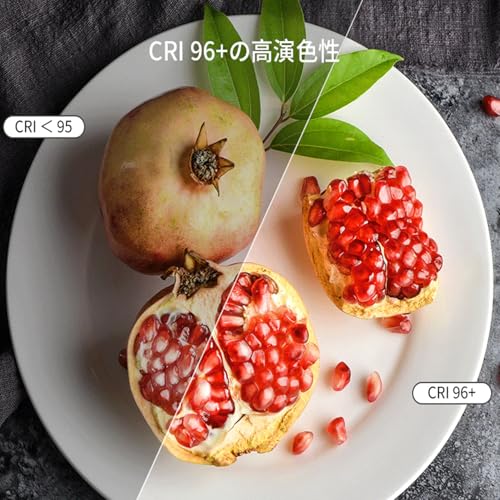 Ulanzi Ulanzi U200 リングライト ビデオリグ 2245 の商品画像 9