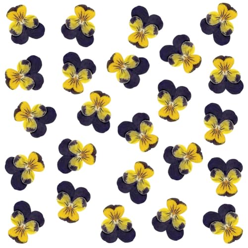 24 Flores Secas Naturales para Manualidades DIY miniatura 1