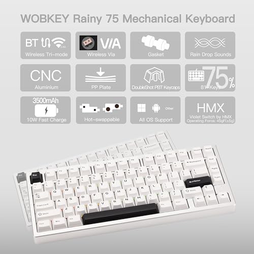 Image of KEEBMONKEY WOBKEY Rainy 75 CNC Aluminum HMX /JWK /Cocoa Switches Triple-Mode Connectivity Mechanical Keyboard with Superior Acoustics,RGB /PP /Mirrored Glass /3500mAh /Violet Switch(Standard - Silver)