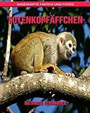  Totenkopfäffchen: Sagenhafte Fakten und Fotos