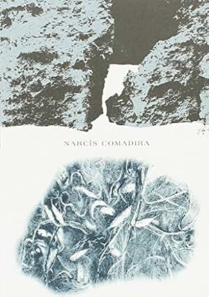 Narcís Comadira.: 29 (Versos)