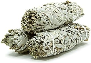 GloFX White Sage Bundle - 3 Pack - 4 Inches Sustainably Harvested California