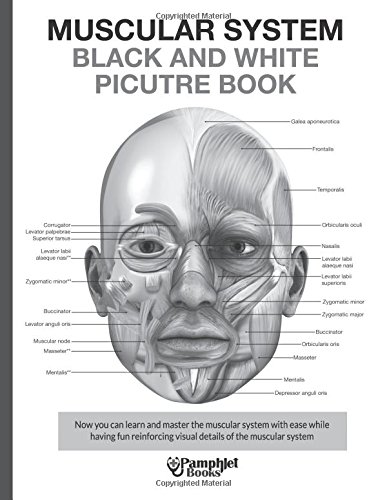 Muscular System Black and White Picture Book: Guide For The Muscular System