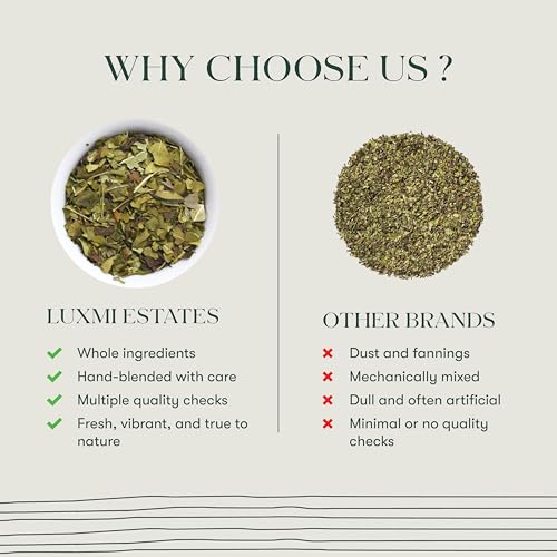 Image of Luxmi Estates - Moringa Mint 25 Teabags