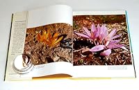 Wild flowers of the Holyland B0007AS8OS Book Cover