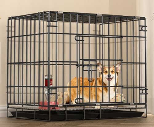 Wixero ybgP[W pN[g  ܂ݎ gݗĊȒP  ʋC pr ^   L {  (S,ubN)