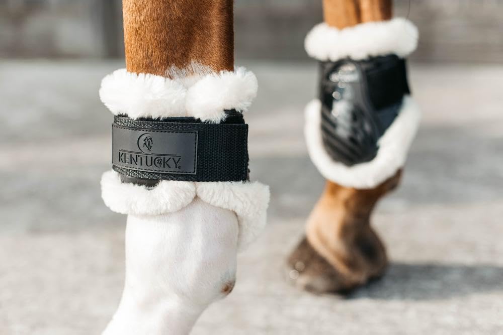 Kentucky Protector Vegano del Nódulo para Caballos Jóvenes