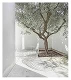 BYAMBD Leinwandbilder Kunstdruck Griechenland Mittelmeer Ländlicher Tourismus Landschaft Natürliche Landschaft Kunst Poster Leinwand Malerei Wand Drucke Bild(D,50x70cm)