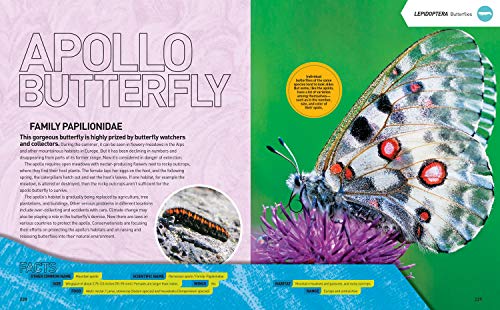 Ultimate Bugopedia: The Most Complete Bug Reference Ever (National Geographic Kids) - Image 5