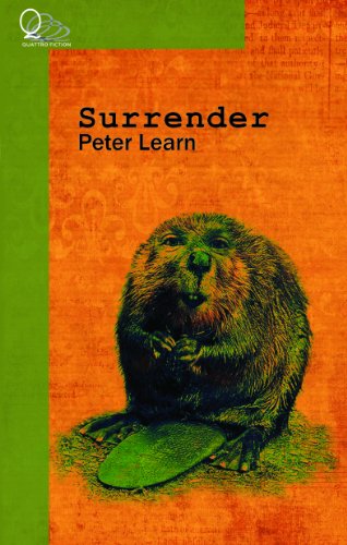 Surrender view 2