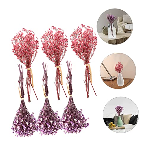 Ramo de 6 flores secas Babys Breath para decoración miniatura 5