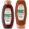 Garnier Hair Care Whole Blends Smoothing Coconut Oil and Cocoa Butter Extracts Shampoo and Conditioner, For Frizzy Hair 44 Fl Oz