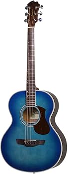 Amazon | James J-300A EBU アコースティックギター 教本付きセレクト