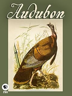 Audubon