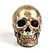 Produktbild ECYC 1:1 Harz Menschlicher Schädel Modell Halloween Requisiten Hauptdekorationen, Fidelity Medical Modell Schädelkopf für Art Medica Teaching, Bronze