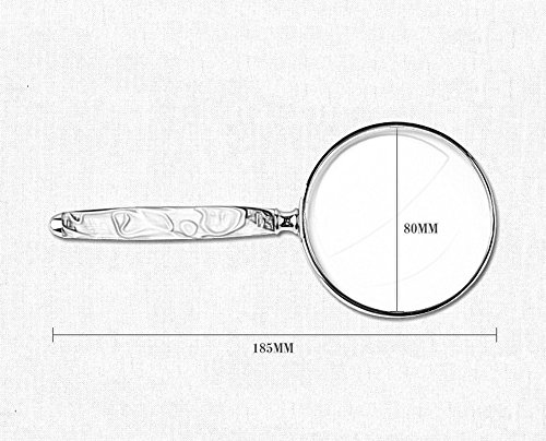 Magnifier Lettore Portatile 10X HD Portatile