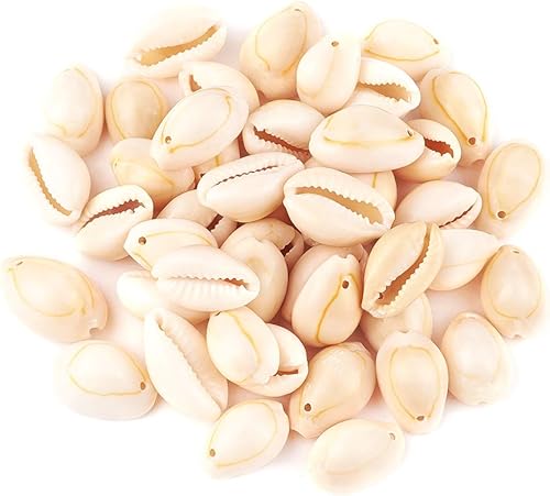 Miniatura 1 de Cheriswelry 50 cuentas de concha en espiral natural blanca, conchas marinas, cuentas espaciadoras de playa, dijes de conchas de cauri, cuentas