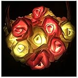 Guirnalda de luces para interiores, 20 luces LED colgantes de flores que funcionan con pilas para el día de San Valentín, boda, aniversario, decoración de fiesta de primavera, decoración de dormitorio