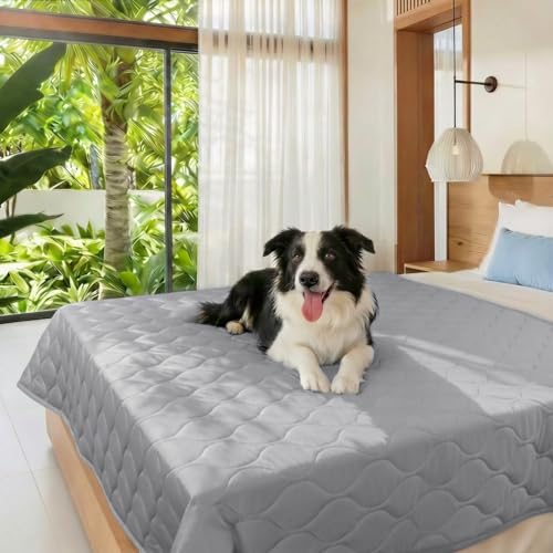 Is the coffe loft in fairhope pet friendly