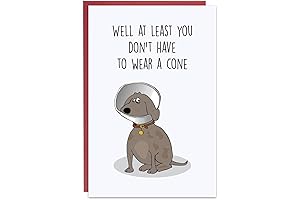 Humorous and Speedy Get Well Cards for a Quicker Recovery