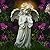 Kssiaz Angel Garden Statue,Memory Guardian Solar Garden Decor with Warm Light,Waterproof Outdoor Garden Decor Praying Angel Figurine Sculpture for Lawn Yard Patio,Sympathy Present,White