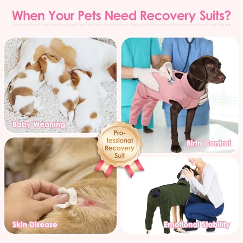 Image of KOESON Dog Recovery Suit Hind Leg, Recovery Sleeve for Female Male Dogs, Doggie Leg Sleeve to Stop Licking, Pet Rear Leg Wound Cover, Dog Spay Onesie for Wound Heal Care
