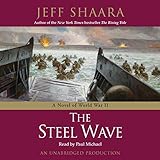 The Steel Wave: A Novel of World War II