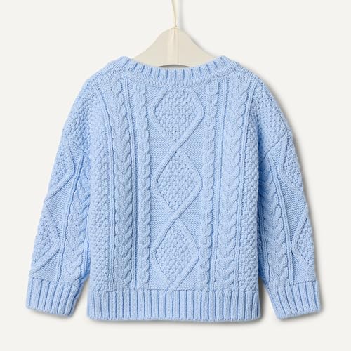 Amazon Essentials x Sofia Grainge Baby Boys' Cotton Cable Design Crewneck Sweater with Ribbing, Light Blue, 6-9 Months - image 6