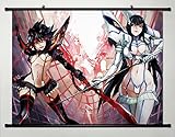 Home Decor Anime KILL la KILL Cosplay Wall Scroll Poster Ryuuko Matoi & Satsuki Kiryuuin 31.5 X 23.6 Inches-035