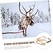 BCOATH 2pcs Outdoor Hunting Gear Deer Sturdy Nylon Dragging Rope Heavy Duty Deer Hunting Accessories