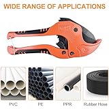 Traxenta B0CYPZN6CP lato 4