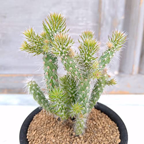 T{eFLhIv`AEXsmVI[ 3A[A]