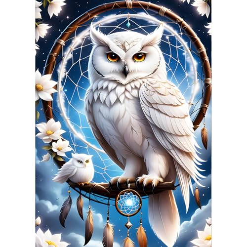 QINRUBB DIY 5D Chouette Blanche Diamond Art Kits Point de Croix Painting pour Adultes Débutants, 5D Attrape-rêves Art du Diamant Complet Kit, Peinture...