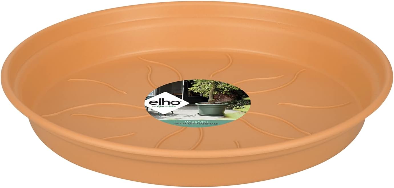Elho Green Basics Saucer 65 Saucer for Indoor, Outdoor, Grow your Own