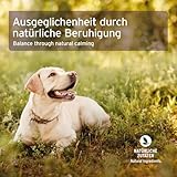 AniForte Rivalität Globuli für Hunde, Katzen, Haustiere - Bachblüten zur Beruhigung, Natürliches Mittel bei Rivalität gegenüber Artgenossen und Menschen