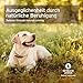 AniForte Rivalität Globuli für Hunde, Katzen, Haustiere - Bachblüten zur Beruhigung, Natürliches Mittel bei Rivalität gegenüber Artgenossen und Menschen