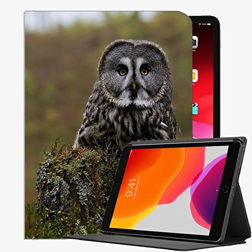 Caso Ajuste iPad Pro 9.7 Pulgadas de 9.7 Pulgadas de la Tableta de Lanzamiento Solamente (A1673 /...