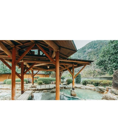 奈良 きなりの湯 入浴券 5枚セット 下北山村 天然温泉 利用券 リラクゼーション 入浴チケット ギフト サウナ