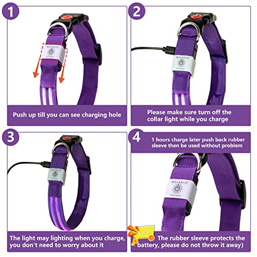 Hunde Leuchthalsband von Melerio mit USB und LED-Funktion