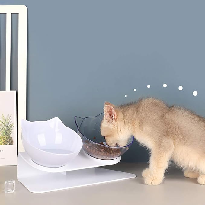 Dreamy Elevated Pet Bowls for Cats & Dogs! ❤️