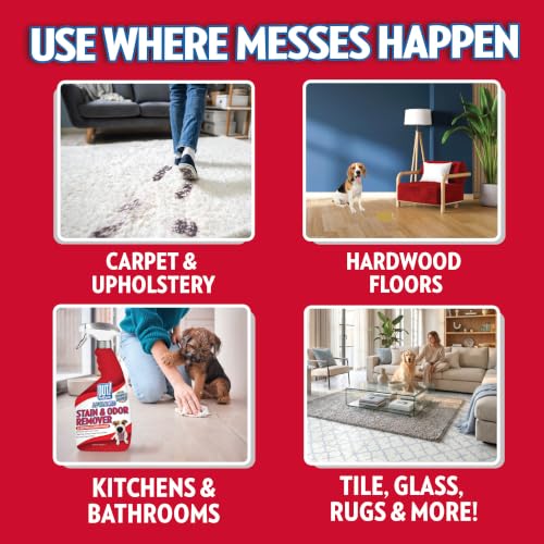 Image of OUT! PetCare Pet Stain & Odor Remover, Carpet Cleaner, 32oz (2 Pack) | Dog Stain & Odor Remover, Pet Odor Eliminator, Floor Cleaner, Dogs & Cats, Carpet Cleaner, Cat Stain Remover, Made in USA