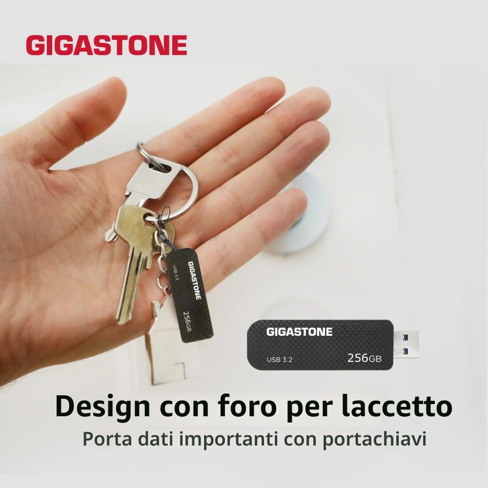 Gigastone Chiavetta USB 256 GB, Z30 USB 3.2 Gen 1 Professional Serie, Senza cappuccio con design retrattile, compatibile con interfaccia USB 2.0 / USB 3.0 / USB 3.1