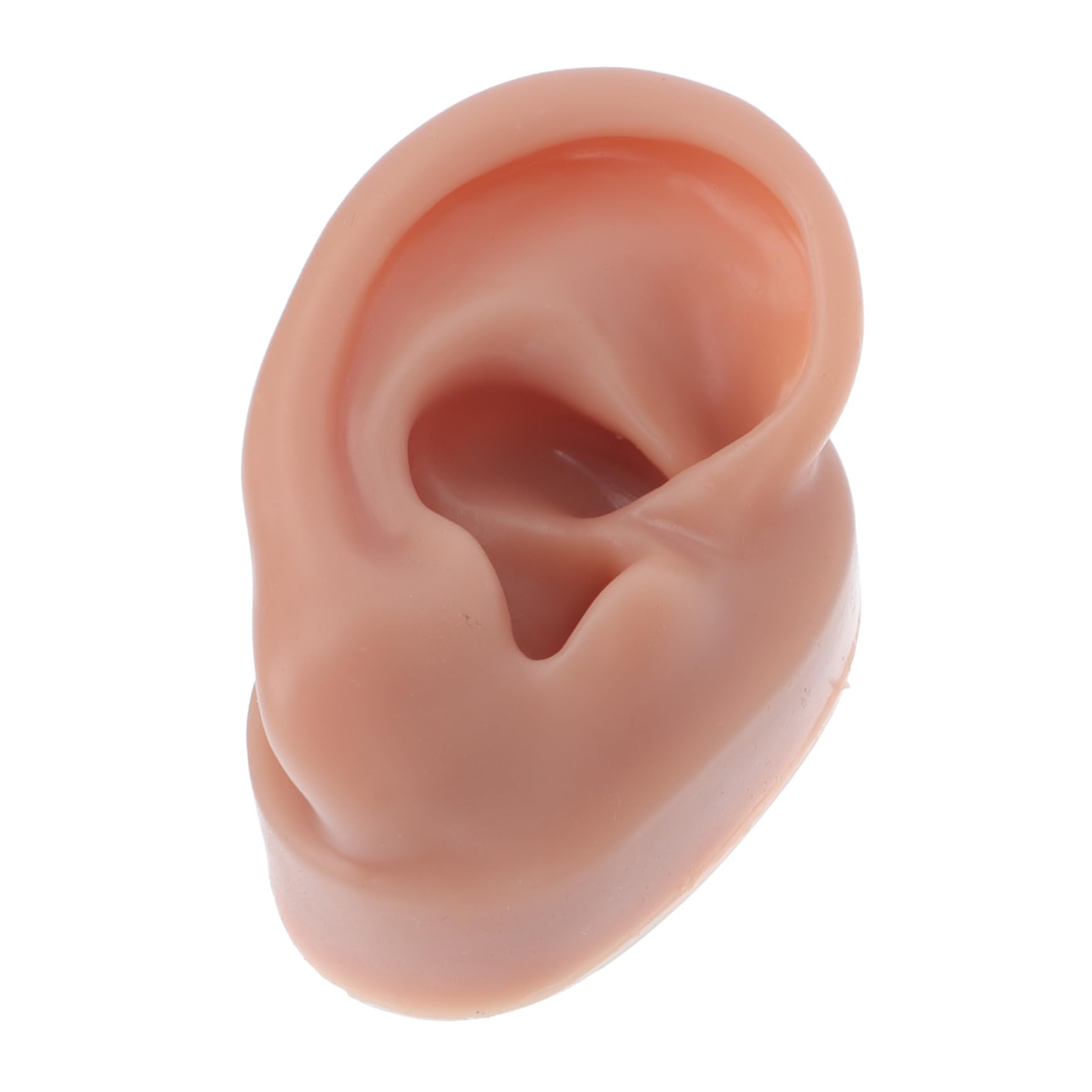 TOVINANNA Silicone Ear Model for Piercing Training Human Ear Display for Studs Practice