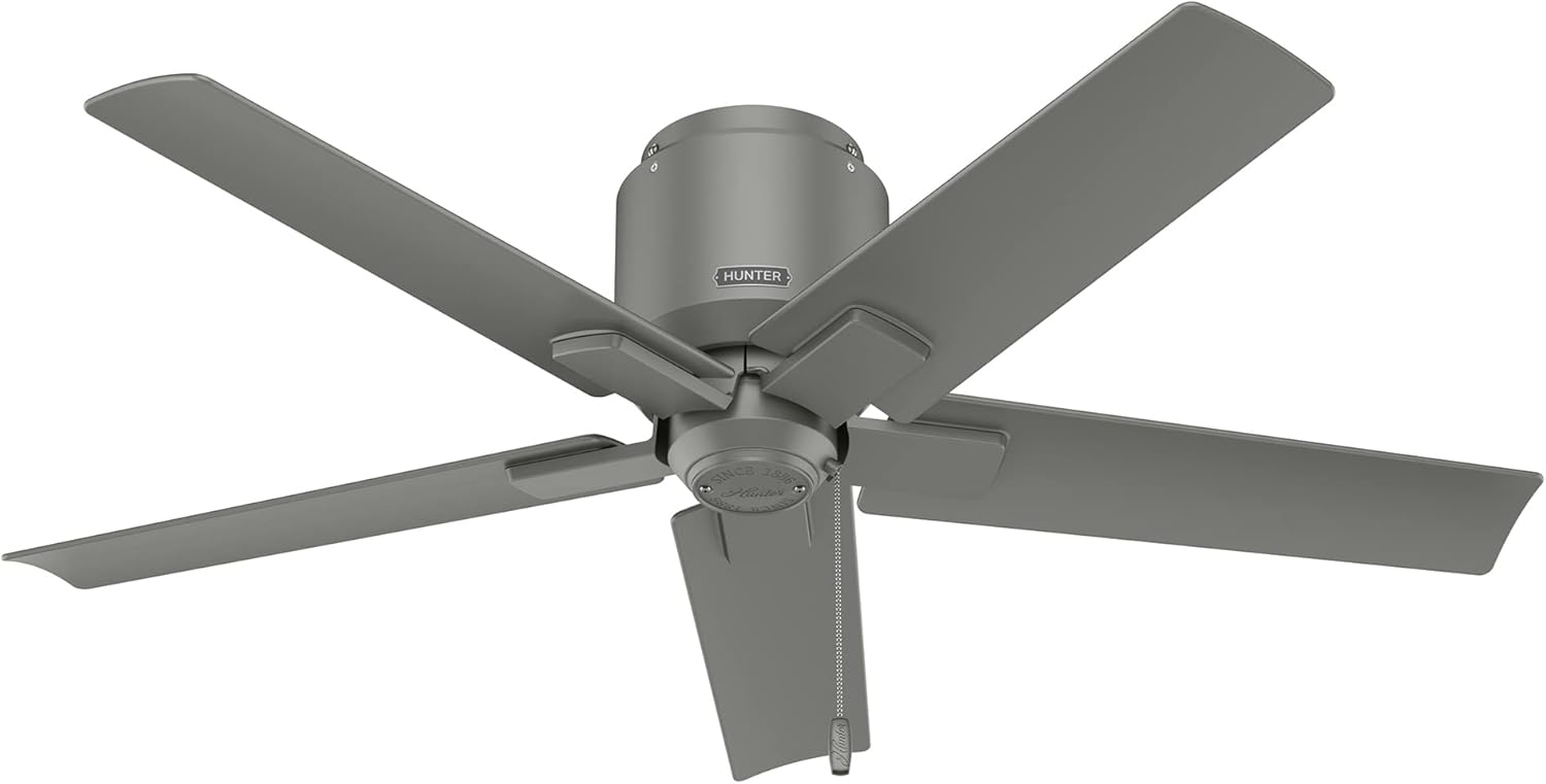 Hunter Fan 44 Inch Low Profile Matte Silver Finish Outdoor Ceiling Fan With 5 Blades and Pull Chain (Renewed)