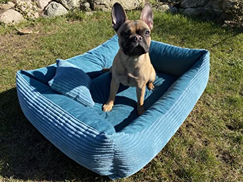 4L Textil Molly Kuscheliges Cord Hundebett mittelgroße Hunde Hundekorb aus Cord Hundekörbchen mittelgroße Hunde Hundesofa Türkis (80x60 cm, Türkis)