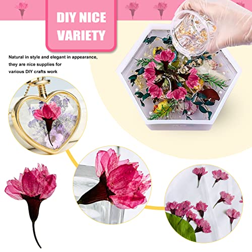Flores secas de cerezo rosa intenso para manualidades 60PCS miniatura 2