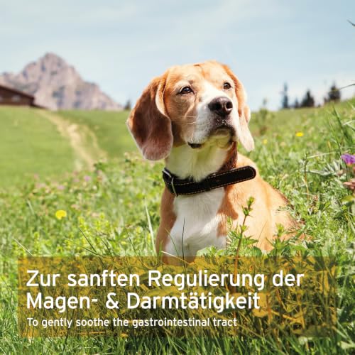 AniForte MagenSanft Pulver für Hunde 500g – Magenschutz bei Sodbrennen & Durchfall, unterstützt Verdauung, Magen-Darm-Aktivität & Darmflora, mit Bentonit & Kräutern, natürlich