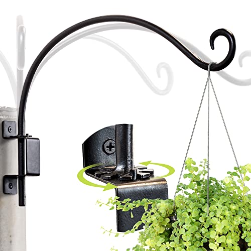 Top 10 Best Wall Mount Plant Hangers in 2022 Reviews Buyer's Guide