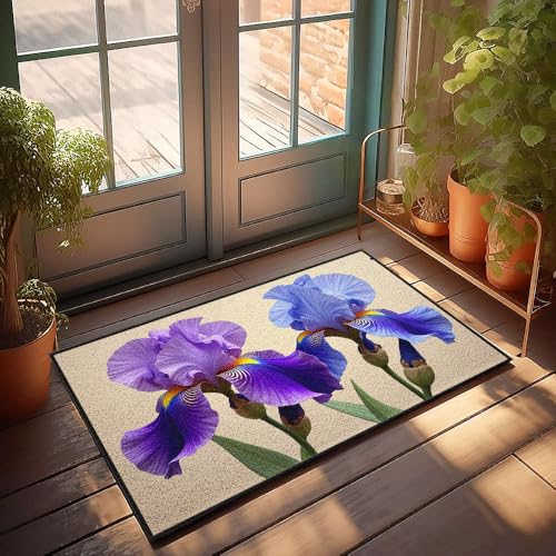 Iris violets et décoration extérieure avec ce paillasson d'été - 2